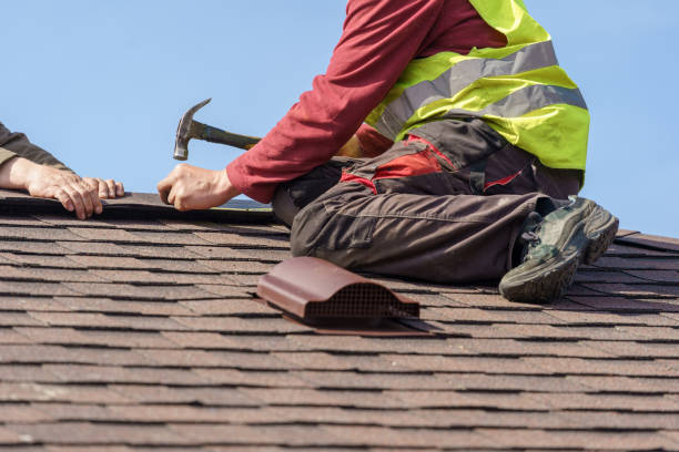 Best Roof Maintenance Services  in Chetek, WI