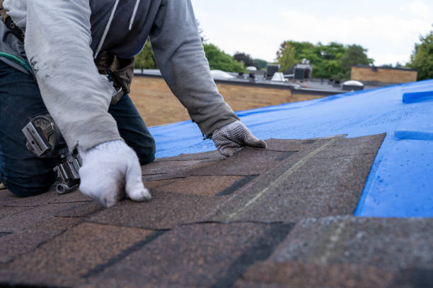 Best Residential Roofing Contractor  in Chetek, WI
