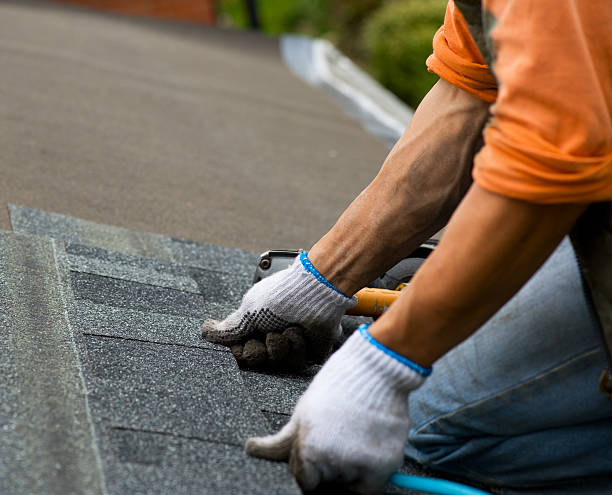 Roof Gutter Cleaning in Chetek, WI